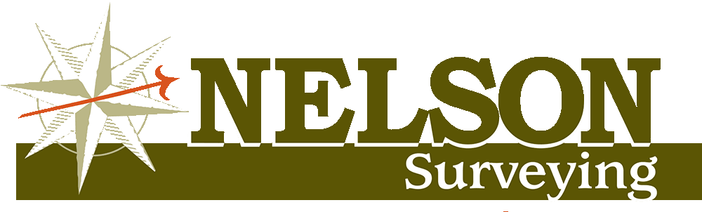 Nelson Surveying full color logo