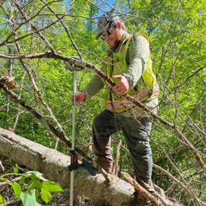 Gallery-Surveying-2024-3